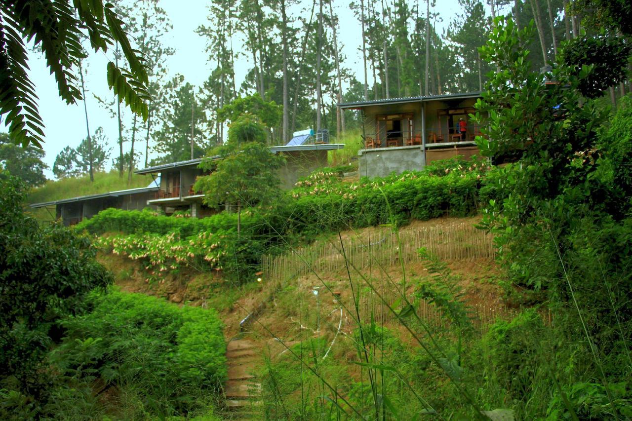 Rowinrich Cottages Ella Luaran gambar